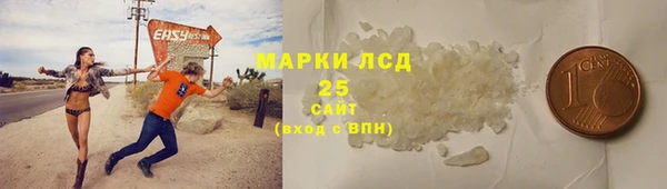 ПСИЛОЦИБИНОВЫЕ ГРИБЫ Сосновый Бор