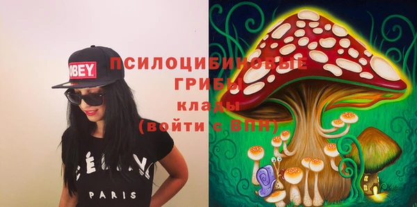 PSILOCYBIN Богородицк