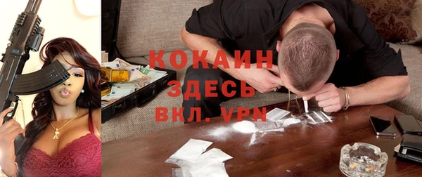 дмт Белокуриха