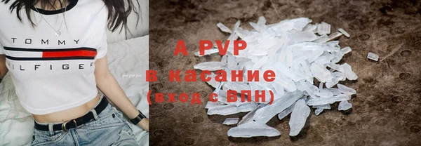 дмт Белокуриха