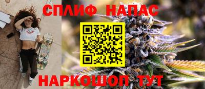 дмт Бийск