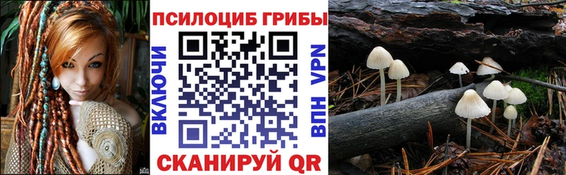 Псилоцибиновые грибы Psilocybine cubensis Верхняя Пышма