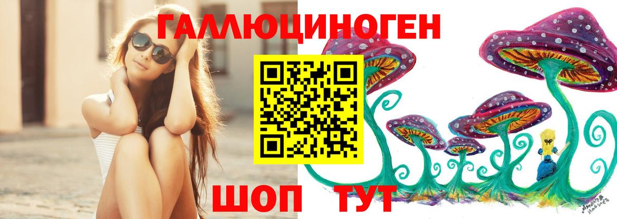 Галлюциногенные грибы Psilocybe Верхняя Пышма